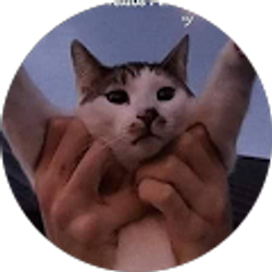 Profile photo of Alexis Cuyuch