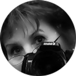 Profile photo of Pam Wood Ellis