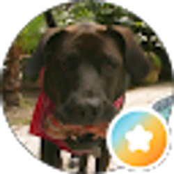 Profile photo of Trish Mostoller