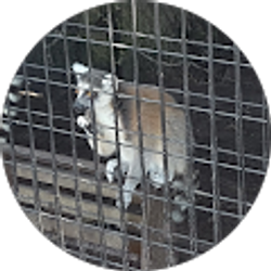 Profile photo of Sheri Bryington