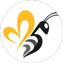 Profile photo of John Honaker