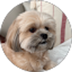 Profile photo of Milt