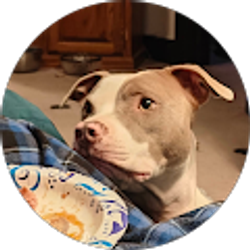 Profile photo of Ashley Carter