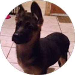 Profile photo of Aimee Dunn