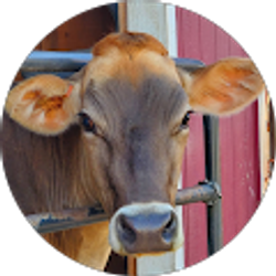 Profile photo of Anna McKanna