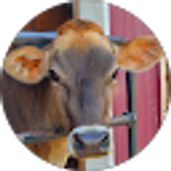 Profile photo of Anna McKanna