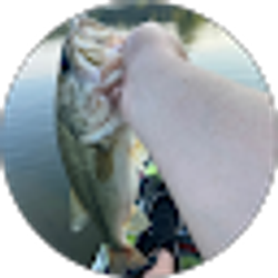 Profile photo of Joey Stovall