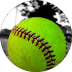 Profile photo of Terry Shreiner