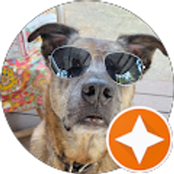 Profile photo of Shalina Macavei