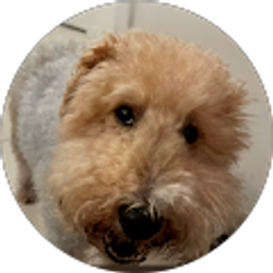 Profile photo of F M