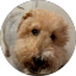 Profile photo of F M