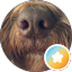 Profile photo of Dan Harvitt