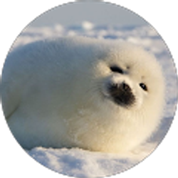 Profile photo of abigail sierra