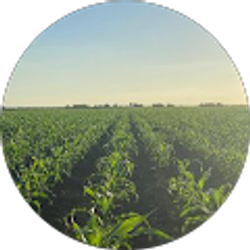 Profile photo of Julio Vazquez