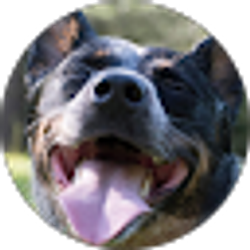 Profile photo of Kamie Harrell