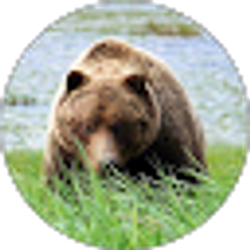 Profile photo of Matthew Noble