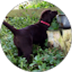 Profile photo of Stacey Brown