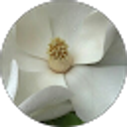 Profile photo of Arlie McMichael