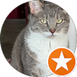 Profile photo of Dan Hepker