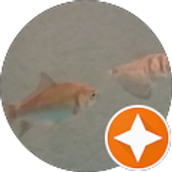 Profile photo of fish girl 101