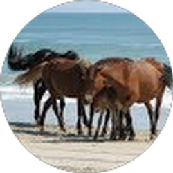 Profile photo of Dan