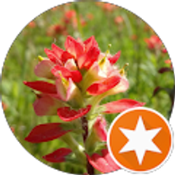 Profile photo of C. Schleede