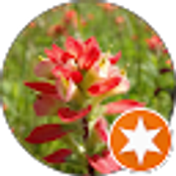 Profile photo of C. Schleede