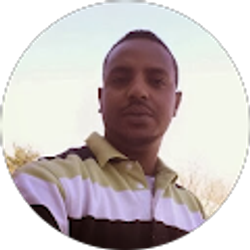 Profile photo of Thewodrose Haile