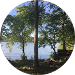 Profile photo of n foz