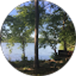 Profile photo of n foz