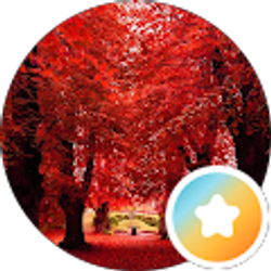 Profile photo of Kelli Michelin