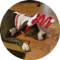 Profile photo of Kathy Reagan