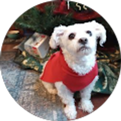 Profile photo of BELLSINA 71