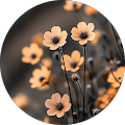 Profile photo of Sarah Cape