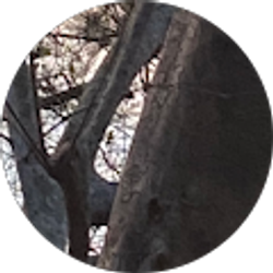 Profile photo of Admi7452 X