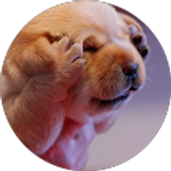 Profile photo of Tai Ocak