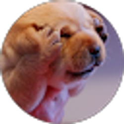 Profile photo of Tai Ocak