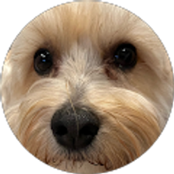 Profile photo of Straucture