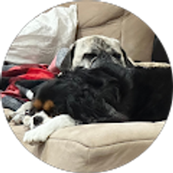 Profile photo of Rosco P Coltrane