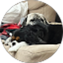 Profile photo of Rosco P Coltrane