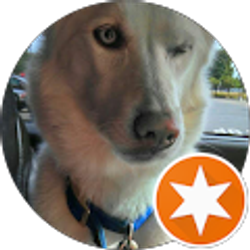 Profile photo of Mark Kane