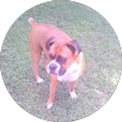 Profile photo of chloe elders