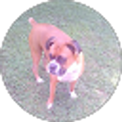 Profile photo of chloe elders