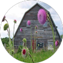 Profile photo of Nancy Starkey