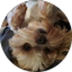 Profile photo of cameron rogers