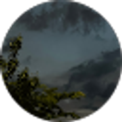 Profile photo of sof