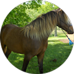 Profile photo of dlthomas55