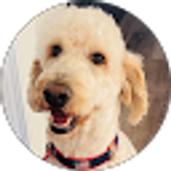 Profile photo of eric mcguire