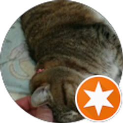 Profile photo of Ted Curtis