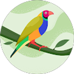 Profile photo of Makayla Kirby